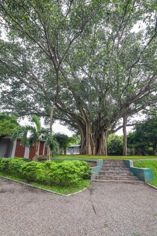 Mahanuge Hotel Polonnaruwa Exteriér fotografie